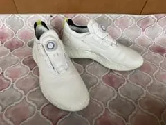 エコー ecco BIOM H5 BOAゴルフシューズ40 - メルカリ