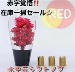 Item thumbnail for item ee0acef2-ed5a-4c2b-abd5-412a5c08cdae