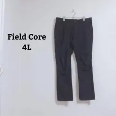 フィールドコア　エアロストレッチスラックス　パンツ　撥水　大きいサイズ　4Lのサムネイル