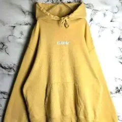 【希少カラー】 XLARGE センター刺繍ロゴ パーカー L キャメル 訳あり