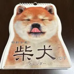 Item thumbnail for item 6d01f0f9-6f5e-440b-9f0d-e277ffefa1db