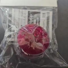 Item thumbnail for item 6d7de931-6ace-4ce3-9018-e08090f5a825