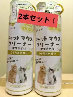 Item thumbnail for item ce162b9d-8021-4a26-aa85-da302bce8156