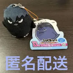 ハイキュー‼︎一番くじD賞ヒナガラス指人形マスコット（影山）