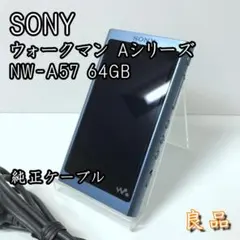 ソニーNW-A55 純正ケース・SDカード・美品 ハイレゾ 付属品有り ソニーNW-A55 純正ケース・SDカード・美品 ハイレゾ 付属品有り