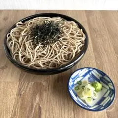 食品サンプル まるで本物 実物大 そば もりそば ざるそば せいろ 蕎麦