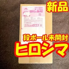 【新品】ポケモンセンター　ヒロシマスペシャルBOX
