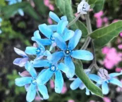 RYO様 リクエスト 6点 まとめ商品