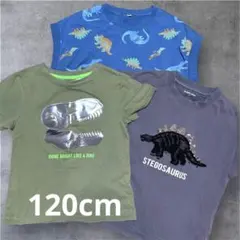 恐竜柄 Tシャツ まとめ売り キッズ 男の子 120cm 夏服 H&M