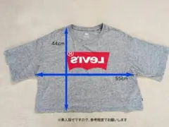 リーバイス（Levi's）　　Tシャツ　レディース　Mサイズのサムネイル