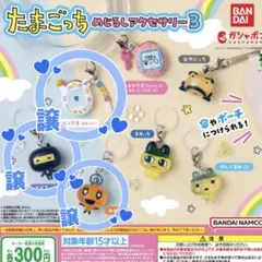 【新品未開封】たまごっちめじるしアクセサリー3 3点セット