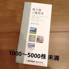 東急不動産ホールディングス 株主優待券冊子 1000～5000株未満