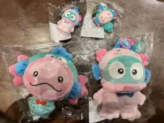 うぱごろう × ハンギョドン POP UP