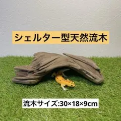 Item thumbnail for item 8125517e-bd5c-406d-b07b-e8c7cd6afd36