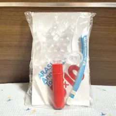 嵐 5×10 ペンライト