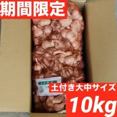 特別栽培農園直送！！特殊冷凍よつぼし！10kg - メルカリ