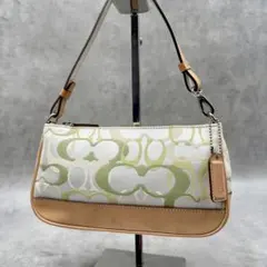 Coach Signature Accessory Pouch green