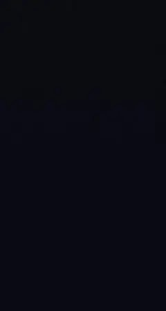 専用