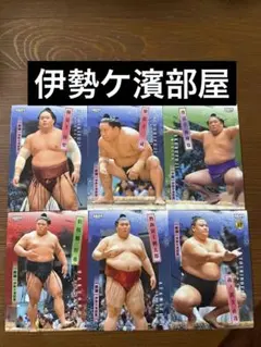 2026年最新】伊勢ヶ濱の人気アイテム - メルカリ