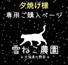 夕焼け様 リクエスト 2点 まとめ商品