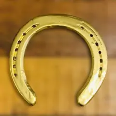 【幸運の金の蹄鉄】