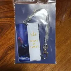 ディズニー ICカードケース WHAT IS LOVE