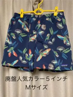 美品 廃盤 2019 限定 パタゴニア PABL 7インチ　バギーズ ショーツ patagonia 希少レア パタゴニア バギーズ ロング 7インチ baggies