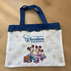 ディズニー　バケーションパッケージ　ブランケット