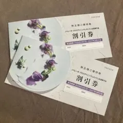 노발레제 할인권