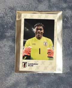 サッカー日本代表 鈴木彩艶 フォトカード