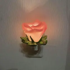 Item thumbnail for item d0ec7768-26ce-486d-9f8f-f4a9ac0c5148