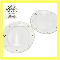 2025年最新】リチャードジノリプレートの人気アイテム - メルカリ