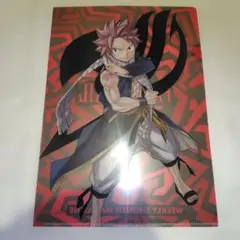ナツ・ドラグニル&イグニール FAIRY TAIL フェアリーテイル - メルカリ