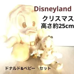 ディズニークリスマス★ドナルドダック &ベビーセット