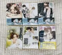 美しい彼/憎らしい彼/悩ましい彼/番外編 interlude/凪良ゆう　小説