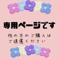 ドラゴン45号様 リクエスト 2点 まとめ商品