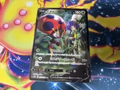 トマト 即決⭕️様 リクエスト 2点 まとめ商品