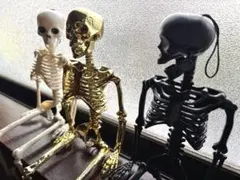 Item thumbnail for item 59894bdf-83dd-4e40-93dd-09837de53507