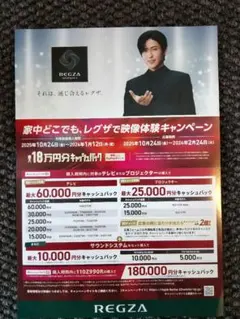 目黒蓮 レグザ　キャンペーン REGZA　フライヤー　チラシ
