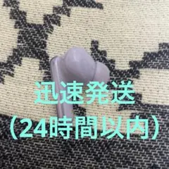 Soundcore P40i パープル　左耳