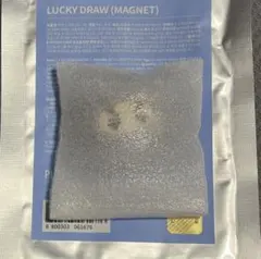 SEVENTEEN ミニティーン マグネット バーノン ノンバ