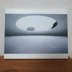 2026年最新】豊島美術館の人気アイテム - メルカリ