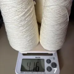 Item thumbnail for item 1a223778-8d97-4631-93f2-b8d868595223