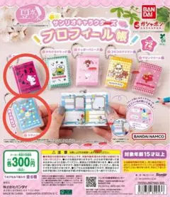 豆ガシャ本 サンリオ プロフィール帳 ウサハナ チャーミーキティ