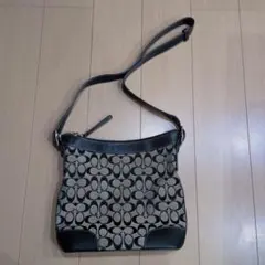 Item thumbnail for item 9c726885-ead4-4e34-9740-169b0ab42950