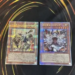 遊戯王 白き竜の落胤・黒き竜のエクレシア 各1枚 合計2枚 - メルカリ