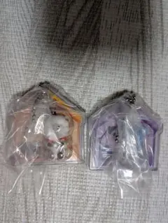 BT21 パッケージチャーム　2個セット