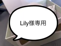 Lily様専用ページ