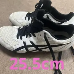 Item thumbnail for item 99d922b9-1cd1-47f2-ac42-d56a2b8b4daa