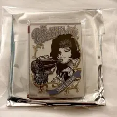 ヒロアカ 相澤 パブミラー風アクリルステッカー コレクション ファンタジー β